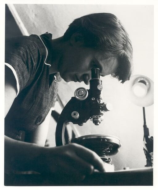 Rosalind Franklin com microscópio em 1955.